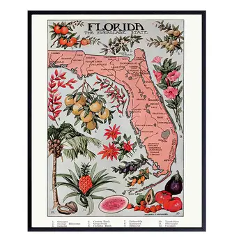 Floridoje Derliaus Žemėlapis - Neįrėminti Wall Art Print - Vandeniui Atspari Staltiesė