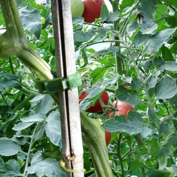 HGHO 200 VNT. Sodo Augalų Paramos Įrašus Pomidorų Įrašus Grotelių laikikliai Agurkų, Gėlių Skvošas Vynuogių 1 colio Vidinis Skersmuo